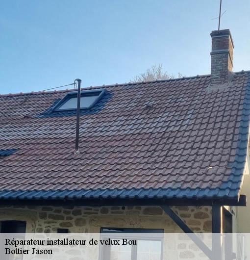 Réparateur installateur de velux  bou-45430 Bottier Jason