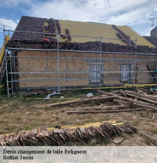Devis changement de tuile  beligneux-01360 Bottier Jason