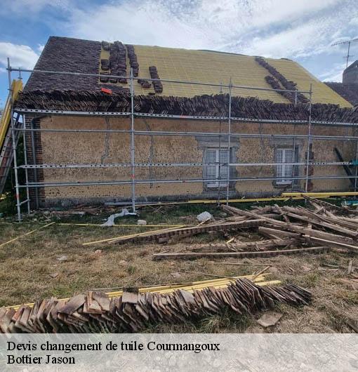 Devis changement de tuile  courmangoux-01370 Bottier Jason