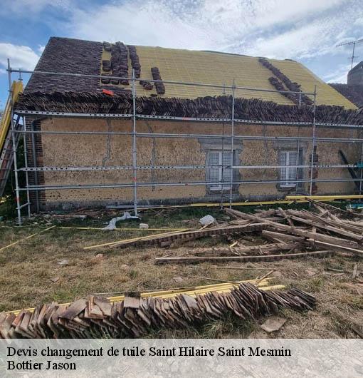 Devis changement de tuile  saint-hilaire-saint-mesmin-45160 Bottier Jason