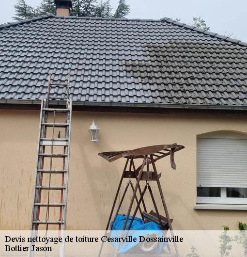 Devis nettoyage de toiture  cesarville-dossainville-45300 Bottier Jason