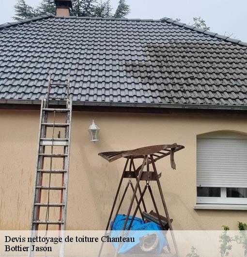 Devis nettoyage de toiture  chanteau-45400 Bottier Jason