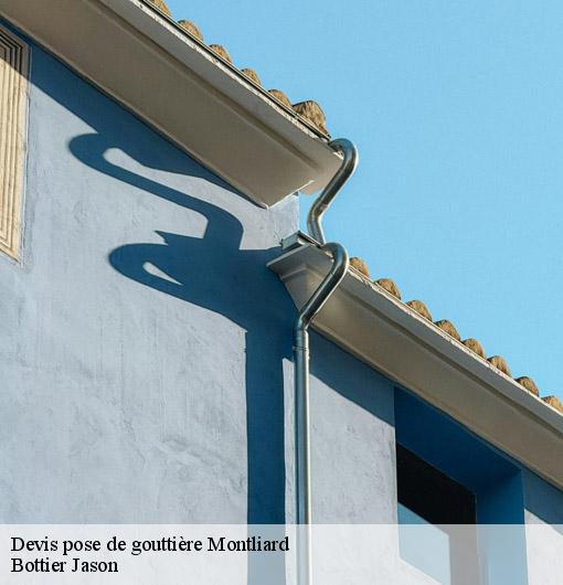 Devis pose de gouttière  montliard-45340 Bottier Jason