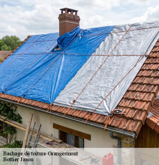 Bachage de toiture  grangermont-45390 Bottier Jason