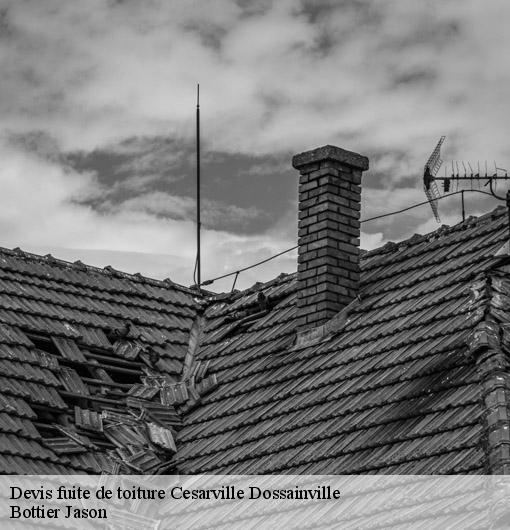 Devis fuite de toiture  cesarville-dossainville-45300 Bottier Jason