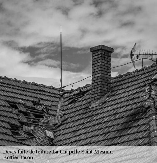 Devis fuite de toiture  la-chapelle-saint-mesmin-45380 Bottier Jason