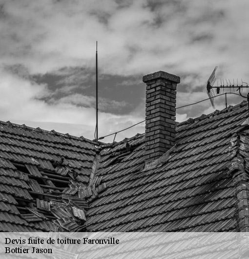 Devis fuite de toiture  faronville-45480 Bottier Jason